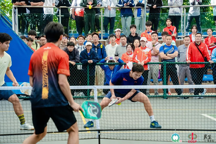 正文插图269 正文插图269